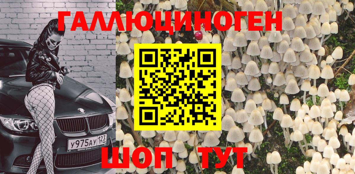 Псилоцибиновые грибы Psilocybine cubensis Татарск